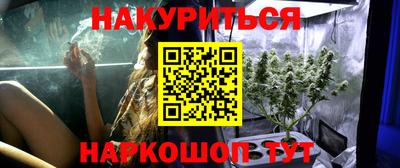 ПСИЛОЦИБИНОВЫЕ ГРИБЫ Заводоуковск