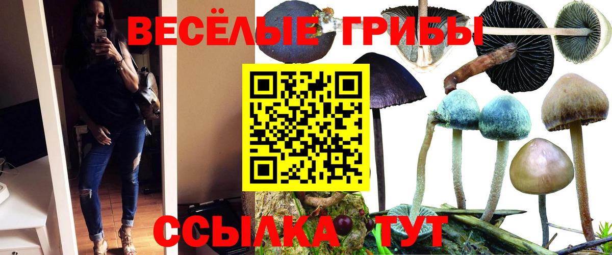 Ирбит  купить   Вход с VPN  Галлюциногенные грибы прущие грибы  Псилоцибиновые грибы ЛСД 